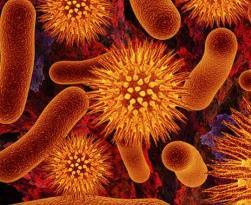 11 способів збалансувати бактерії і сильно зменшити запах тіла