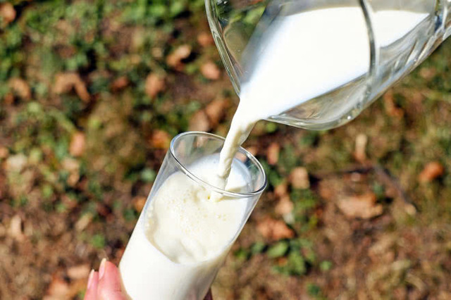 Молоко при діабеті 2 і 1 типу, цукровому: чи можна коров'яче, козяче, вівсяне, кокосова, верблюже, сухе