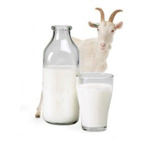 Кисле молоко при діабеті 2 типу: користь і шкода, основи застосування