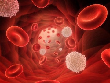 Глікозильований гемоглобін: норма у жінок, чоловіків, дітей за віком, що означає, як здавати аналіз, розшифровка