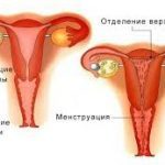 Чому буває затримка менструацій на 6-7 днів