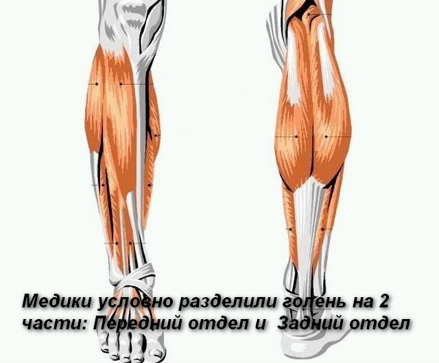 Біль і набряк ніг нижче колін - в чому причини