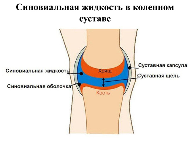 Що таке артроскопія колінного суглоба?
