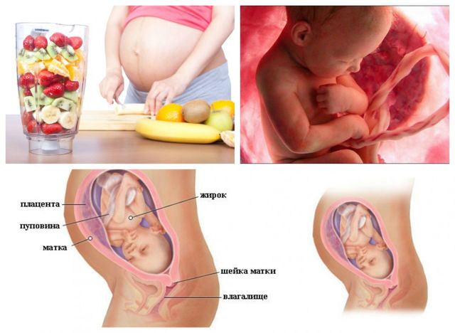 Состояние женщины и ребенка на 30 недели беременности