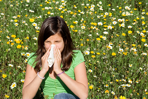 Аллергическая реакция на амброзию, симптомы, анализы на наличие аллергии