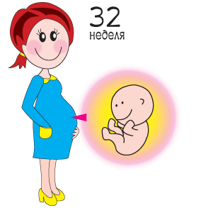 Розрахувати термін вагітності по тижнях днях датою зачаття