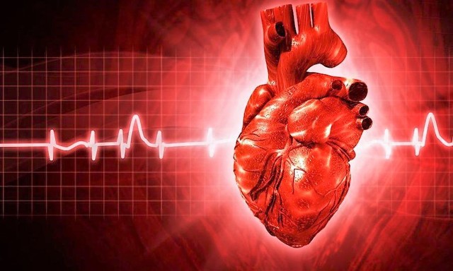 Ішемічна хвороба і стентування судин серця