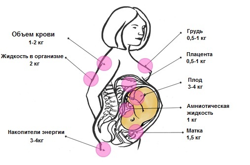 Калькулятор набору ваги при вагітності