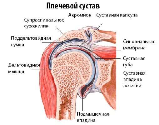 Артрит плечового суглоба: причини, симптоми, лікування